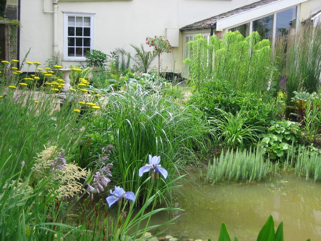 Garden with pool, after landscaping
