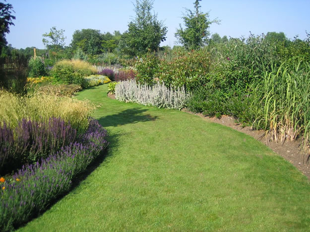 garden path grass