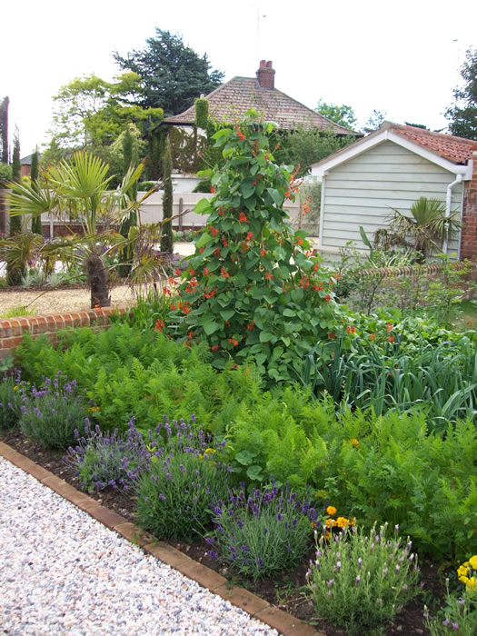 planting and soft landscaping