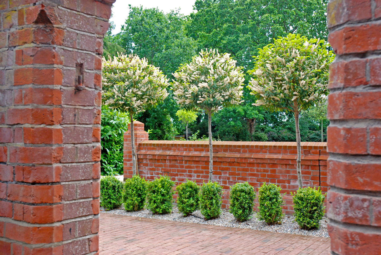 Soft Landscaping & Planting - Roger Gladwell Landscape & Design